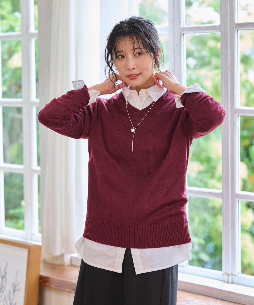 WEGO 【WEB限定/2025年秋冬新作/洗濯OK/毛玉レス/MLXLサイズ展開/オフィス/カジュアル】ベーシックニットセーター 