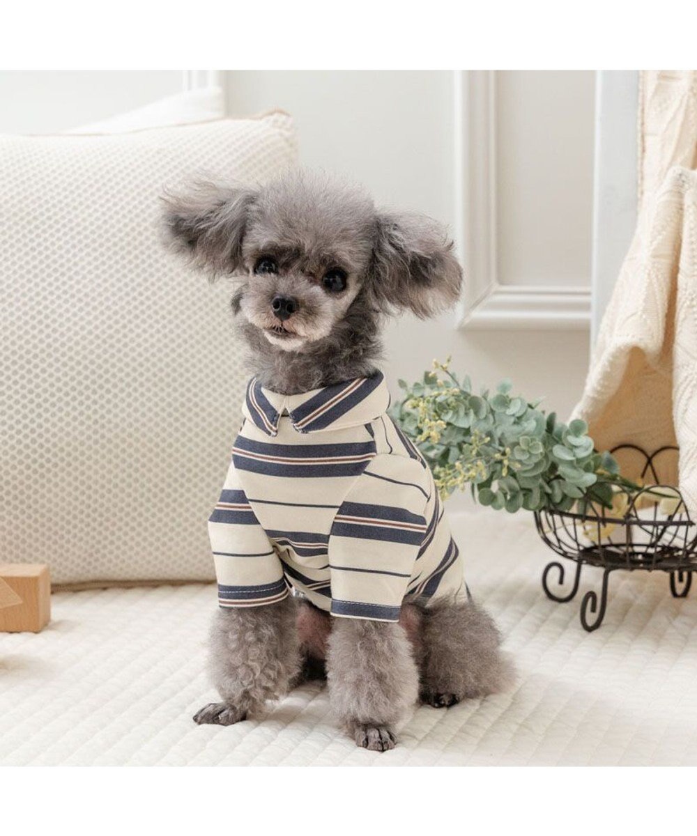 PET PARADISE ペットパラダイス ペティヒート Tシャツ 《マルチボーダー 》小型犬 