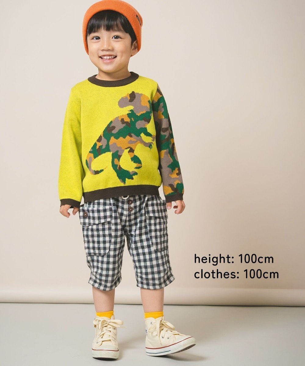 ami amie 恐竜カモフラプルオーバー 85cm～130cm 