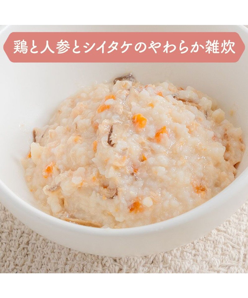 PET PARADISE 愛犬にやさしい スープごはん 鶏 