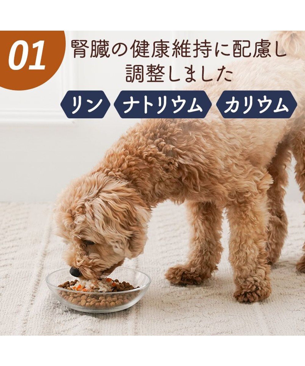 PET PARADISE 愛犬にやさしい スープごはん 鶏 