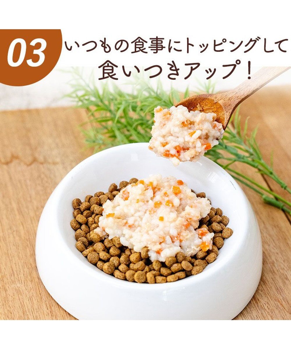 PET PARADISE 愛犬にやさしい スープごはん 鶏 