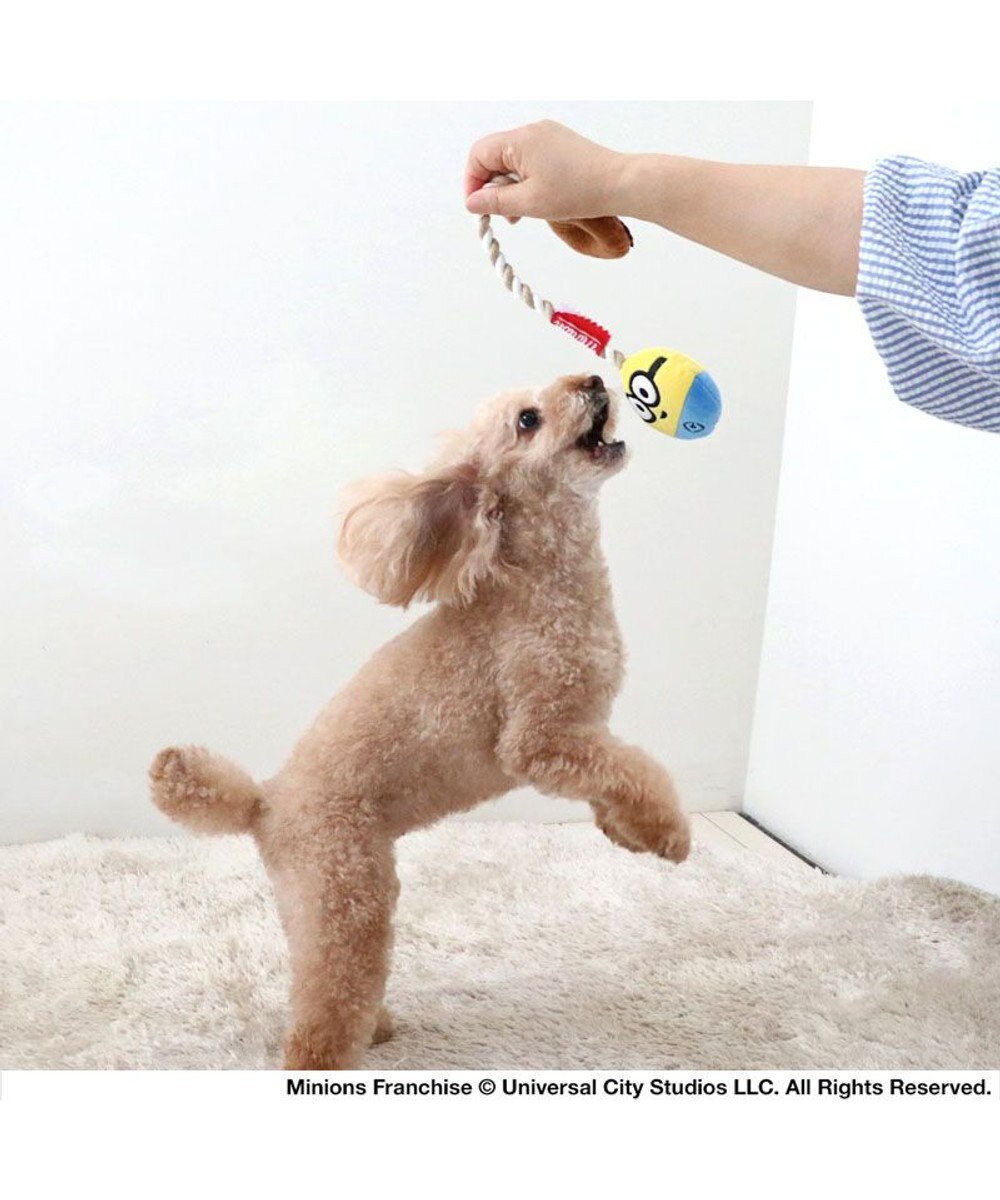 PET PARADISE ミニオン ボブ ドーナツ ロープ トイ 
