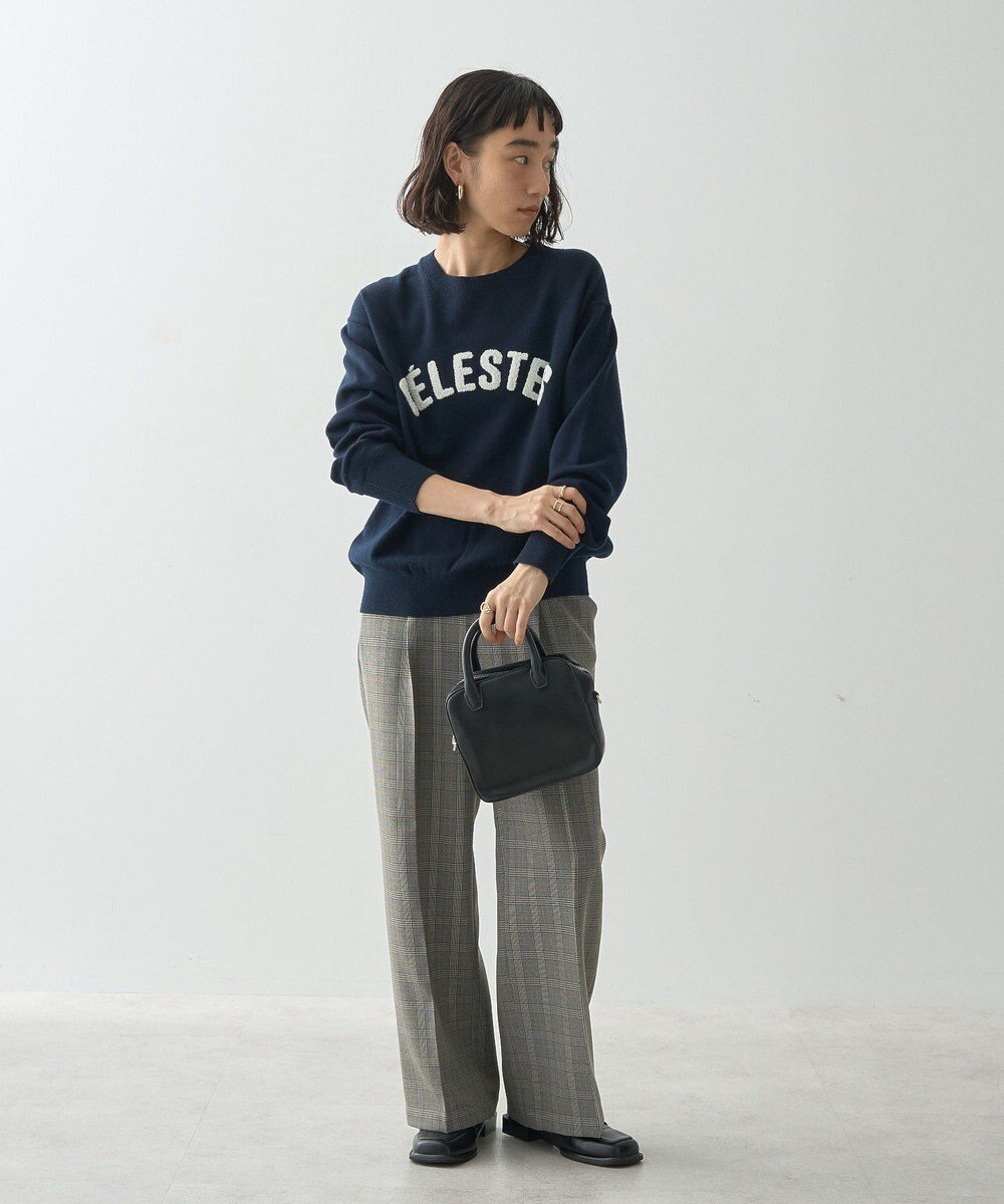 AMERICAN HOLIC バイパチＣＥＲＥＳＴＥＳロゴニットプルオーバー 