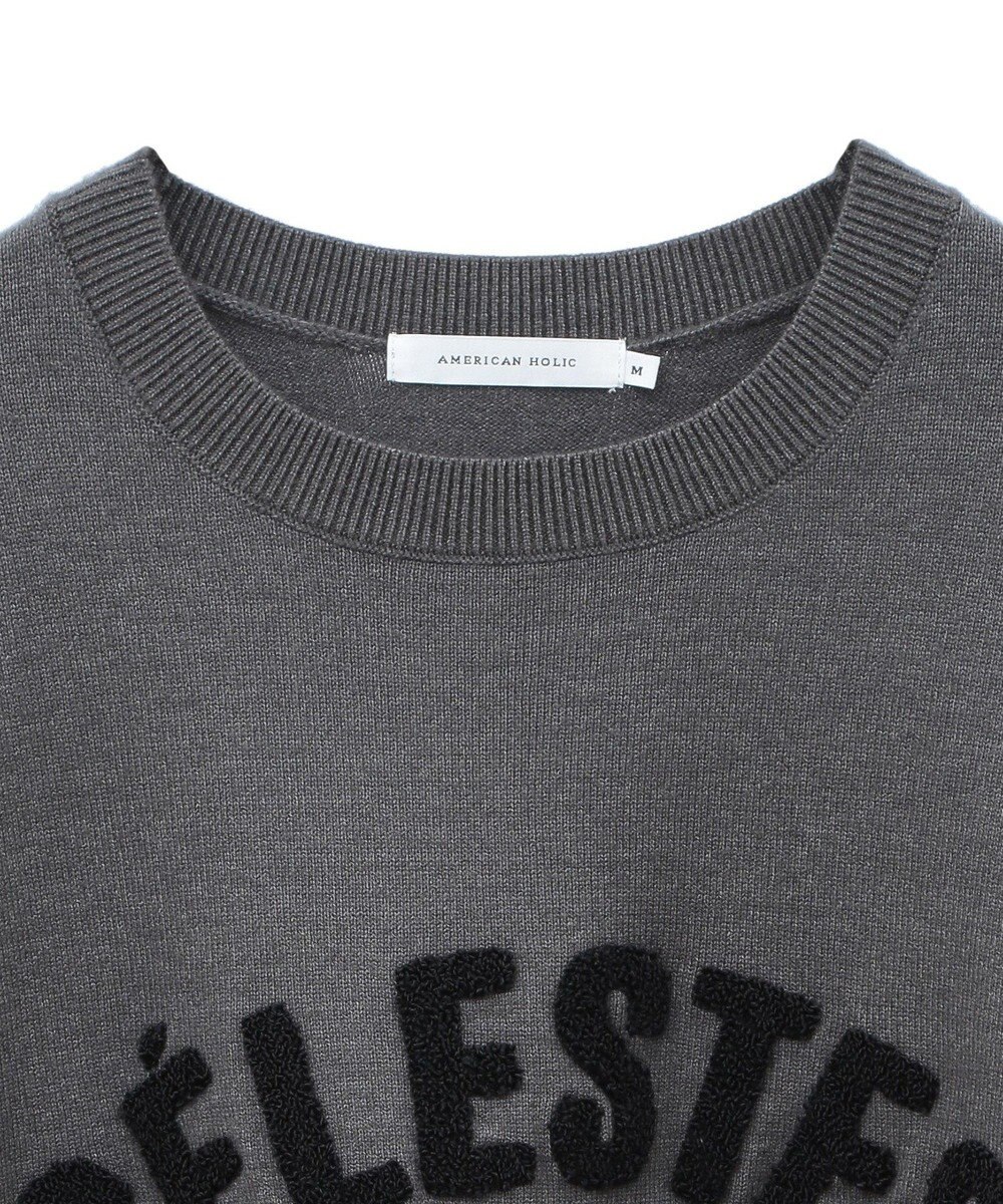 AMERICAN HOLIC バイパチＣＥＲＥＳＴＥＳロゴニットプルオーバー 