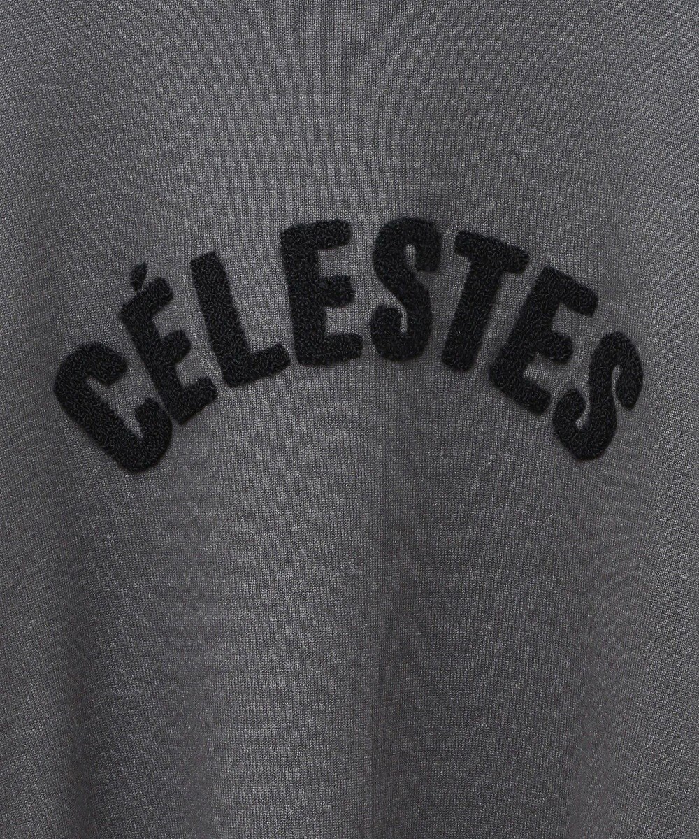 AMERICAN HOLIC バイパチＣＥＲＥＳＴＥＳロゴニットプルオーバー 