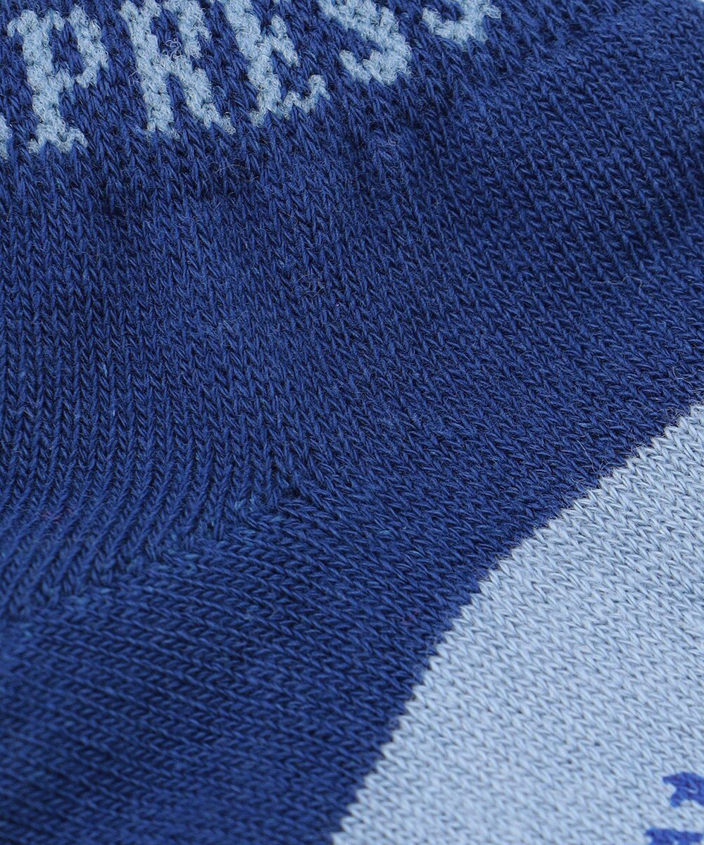 J.PRESS KIDS 【19-26cm】ボーダーソックス 