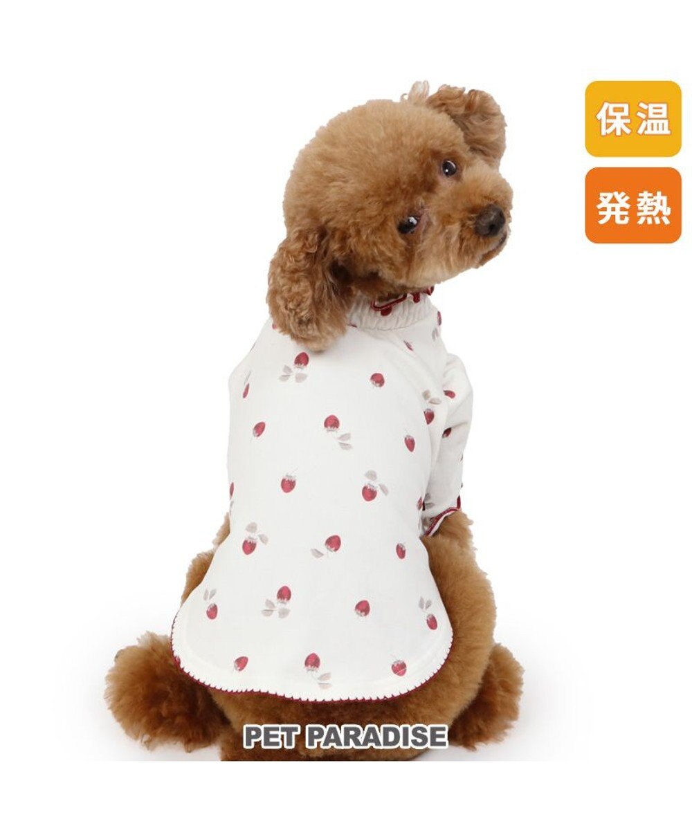 PET PARADISE ペットパラダイス ペティヒート Tシャツ 《苺柄》 小型犬 超小型犬 苺柄