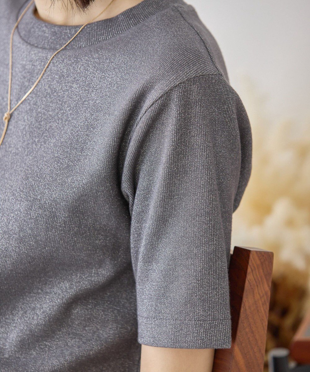 AMERICAN HOLIC ラメリブＴシャツ 