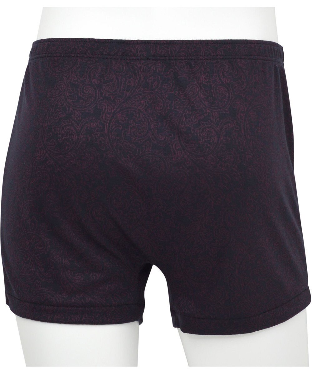 WACOAL MEN トランクス　【らく窓パンツ】　ボタンがなく、開閉がラク　しっとりなめらかな肌ざわり　前開き　/ワコールメン　WT5422 