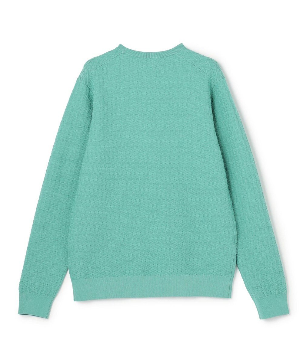 JOSEPH HOMME 新柄【イージーケア】 ヴィスコースリンクス　クルーネックニット 