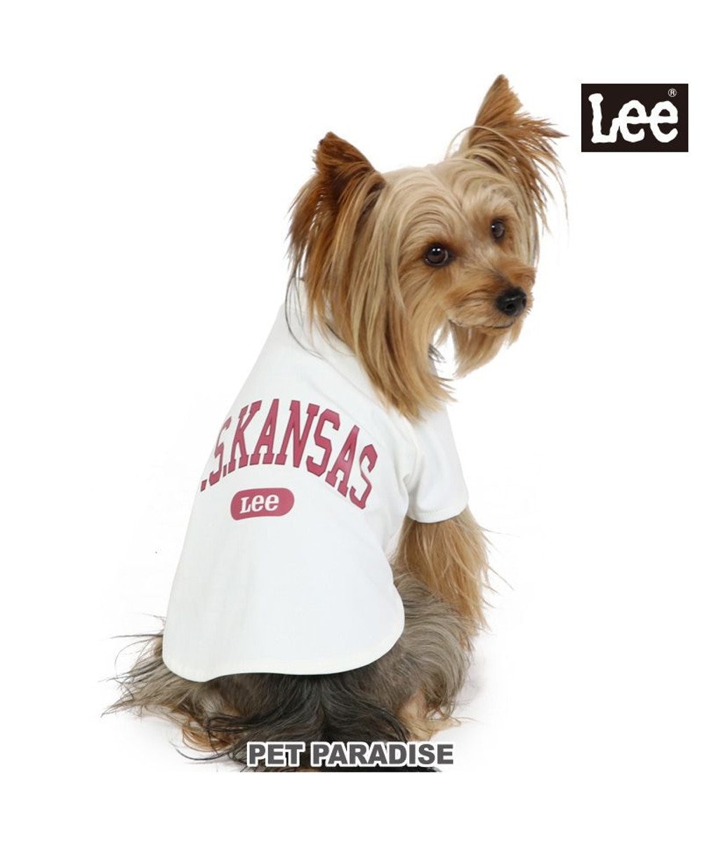 PET PARADISE 犬の服 犬 Ｌｅｅ tシャツ 【小型犬】 カレッジ 紺（ネイビー・インディゴ）