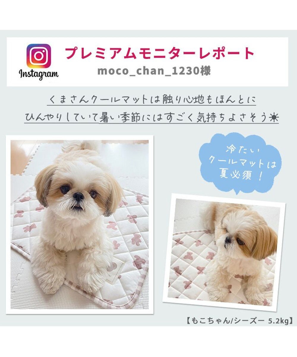 PET PARADISE 犬 クール マット 冷感 柔らか クールマット (48×40cm) 苺 くまちゃん ネイティブ 接触冷感 ひんやり ペット 