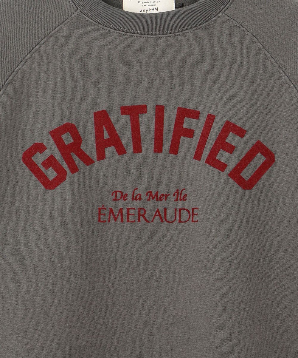 ANY L 【洗濯機可能/サスティナブル】ロゴ裏起毛クルーネックプルオーバー 