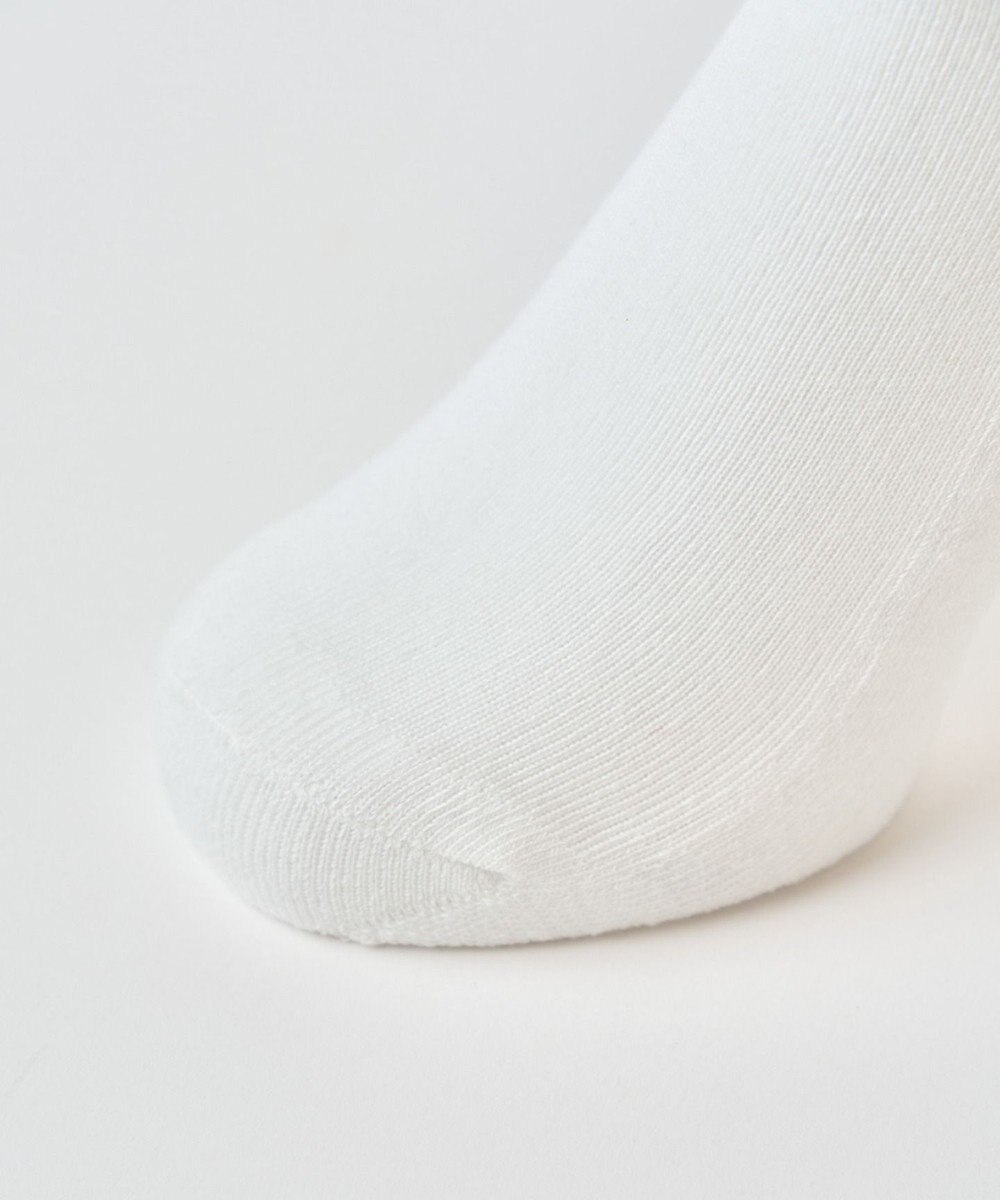 WEGO カラーパイルソックス（R） 