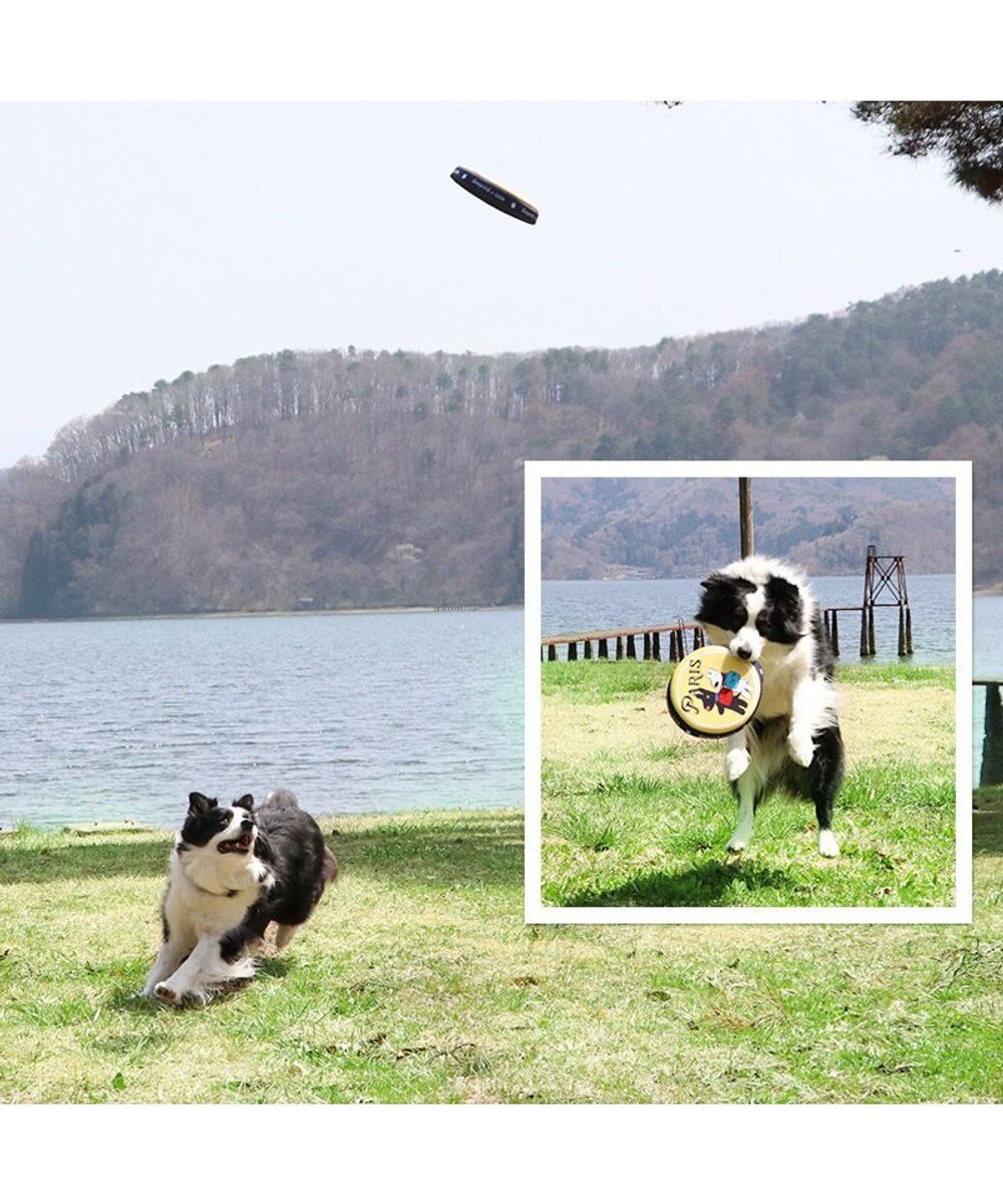 PET PARADISE 犬 おもちゃ リサとガスパール フライングディスク M (直径22cm) 