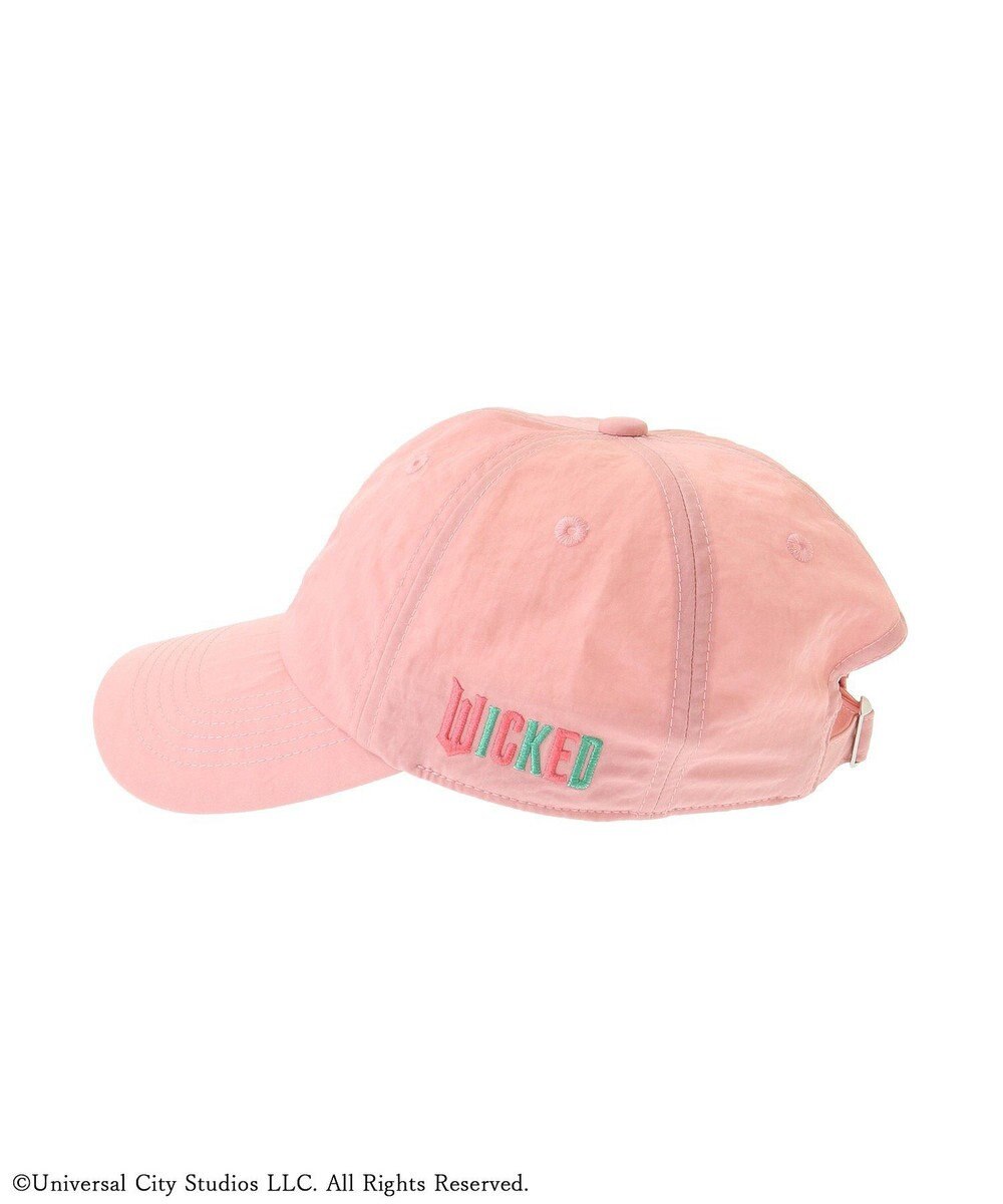 Green Parks ■ＷＩＣＫＥＤ　アイコン刺繍キャップ 