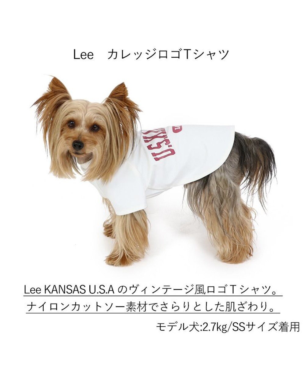 犬の服 犬 Ｌｅｅ tシャツ 【小型犬】 カレッジ / PET PARADISE