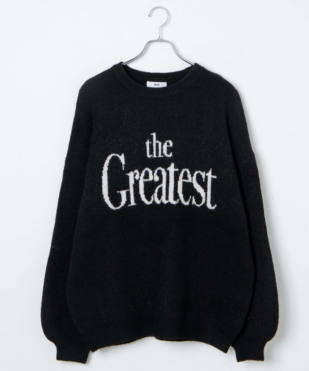 WEGO フラッフィーロゴジャガードニットプルオーバー 