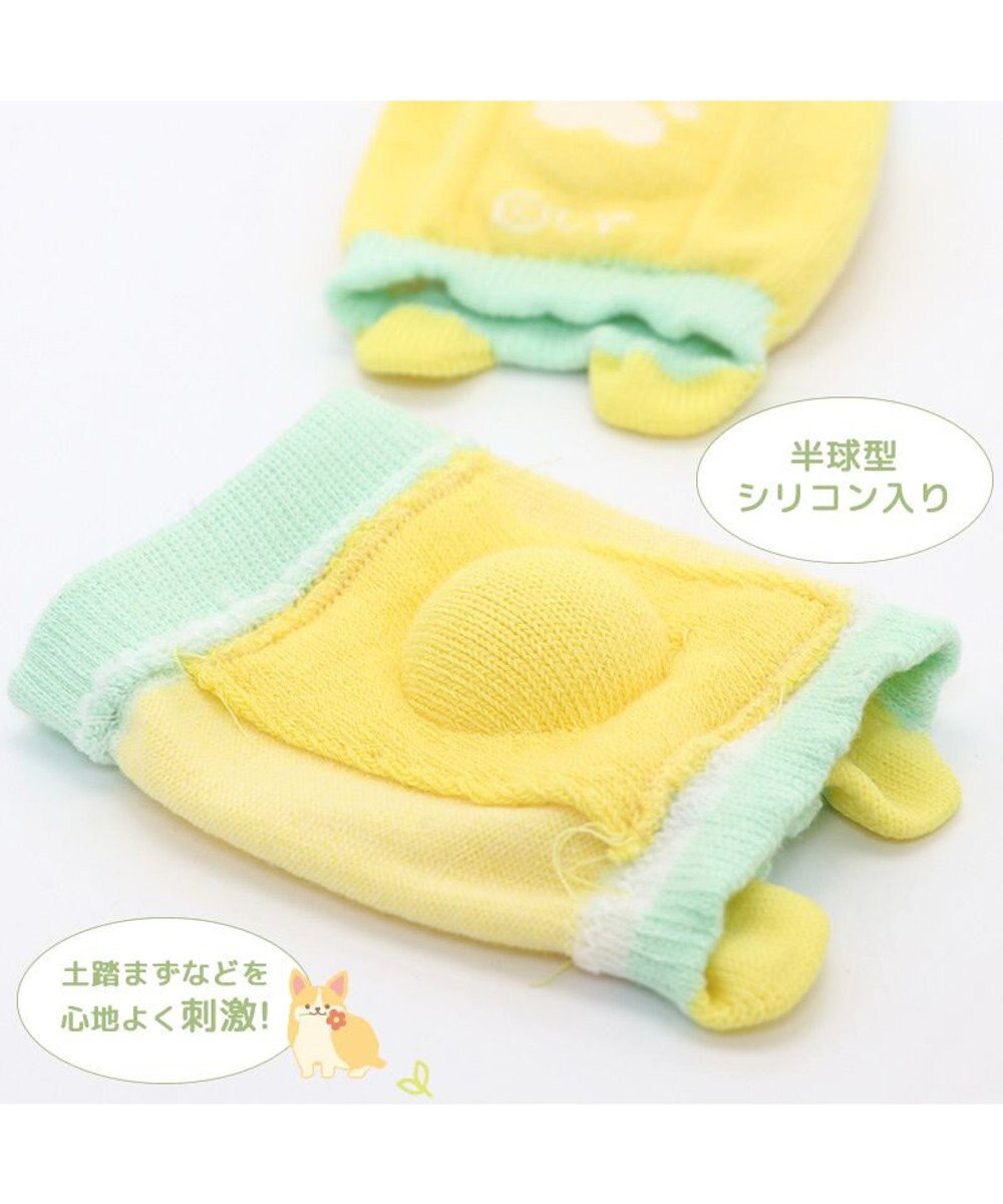 Mother garden マザーガーデン ふわんこ コーギー 足ツボ押し 靴下 ソックス レディースフリーサイズ 