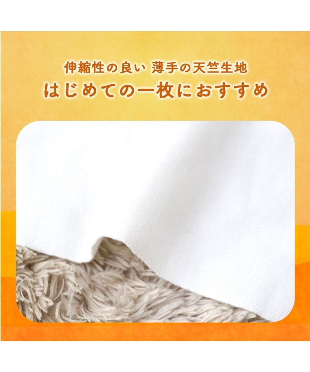 PET PARADISE ペットパラダイス ペティヒート 天竺 Tシャツ 《ニット柄》  超小型犬 小型犬 