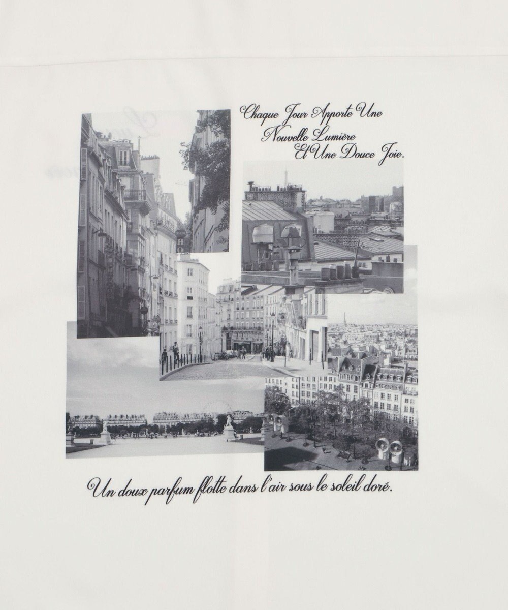 WEGO アムンゼンフォトプリントBIGシャツ（SS） 