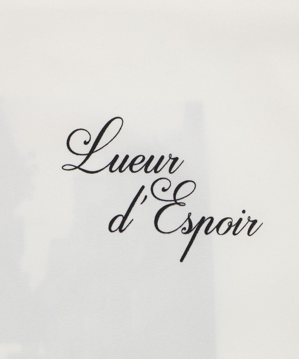 WEGO アムンゼンフォトプリントBIGシャツ（SS） 