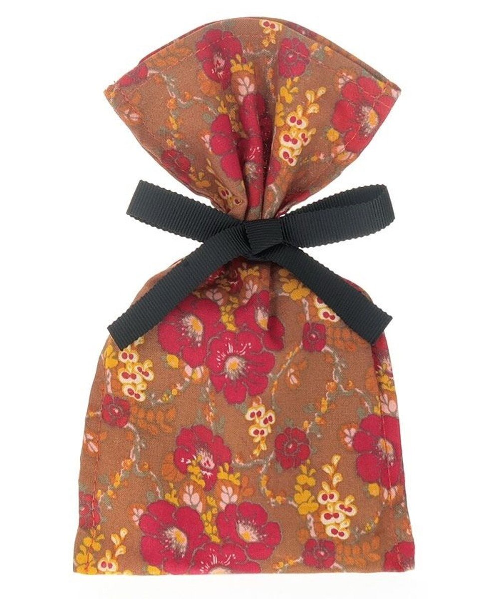 ANNA SUI エニータイム ショルダー付きミニマルチケース 