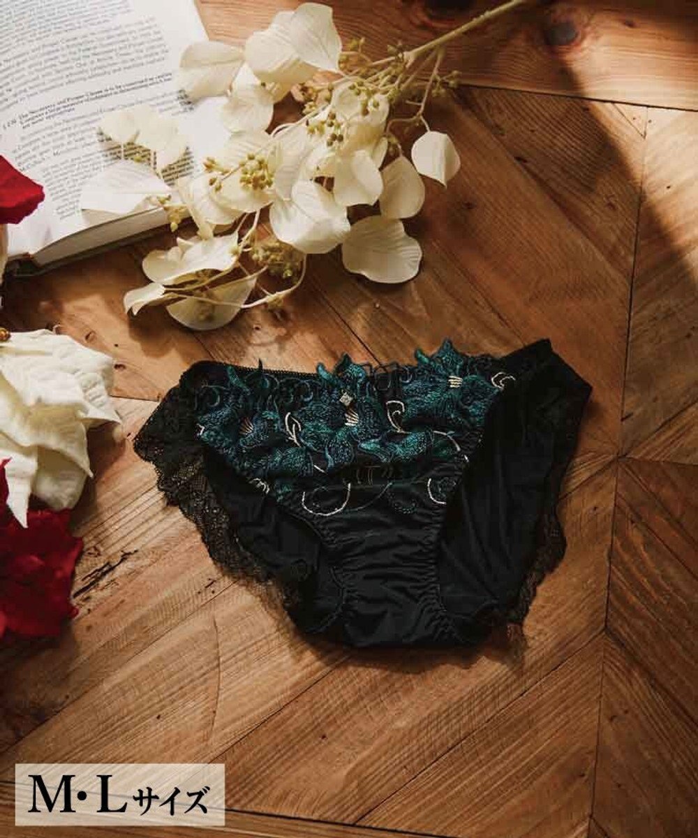 San-ai Resort（三愛水着楽園） エレガントコレクション2311ノーマルショーツ  【M・Lサイズ】【northerly】 