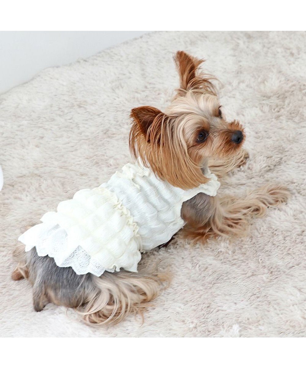 PET PARADISE ペットパラダイス ぽこぽこ ワンピース 《ホワイト》 小型犬 