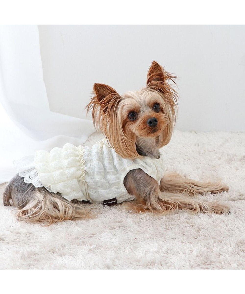 PET PARADISE ペットパラダイス ぽこぽこ ワンピース 《ホワイト》 小型犬 