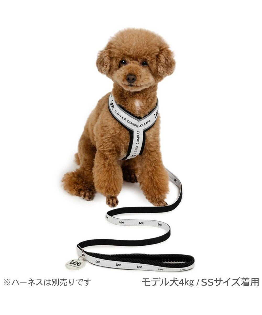 PET PARADISE Lee ロゴチャーム付き リード ４Ｓ～３Ｓ 小型犬 