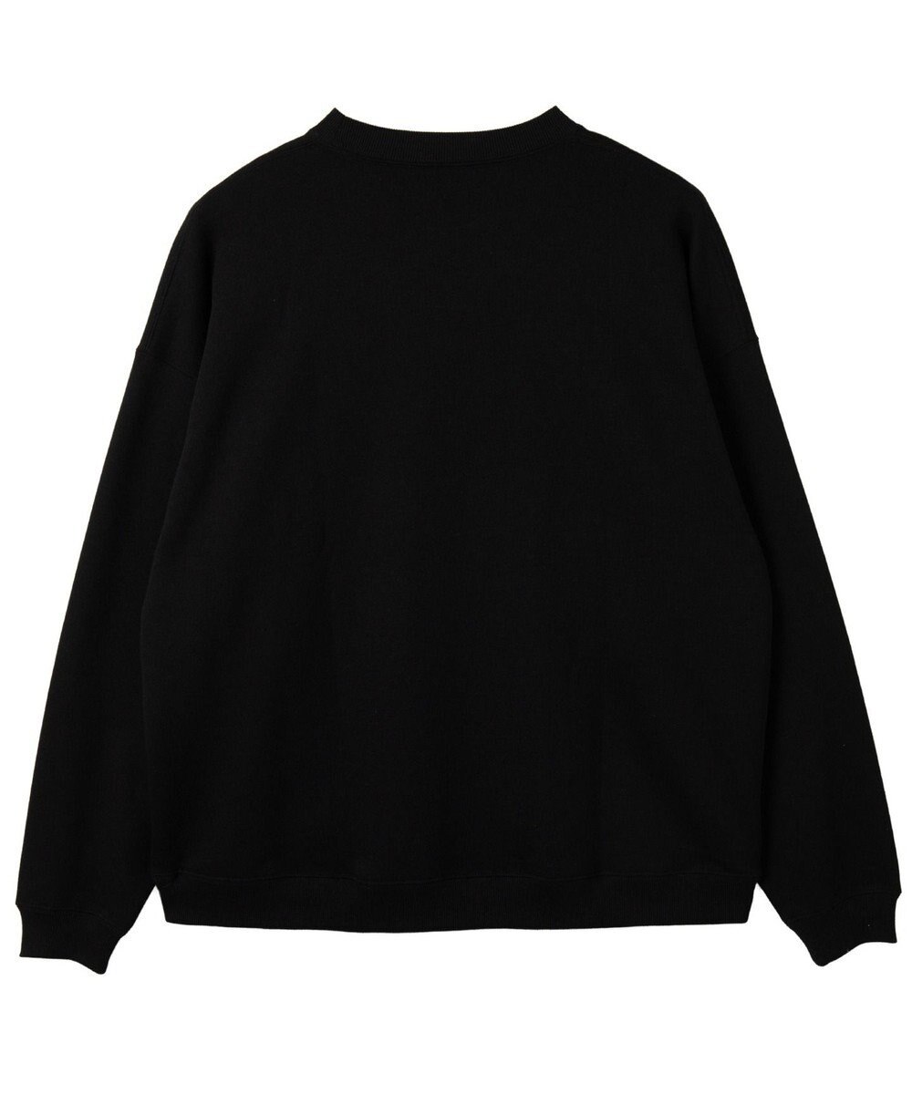 WEGO メタリックロゴプルオーバー 