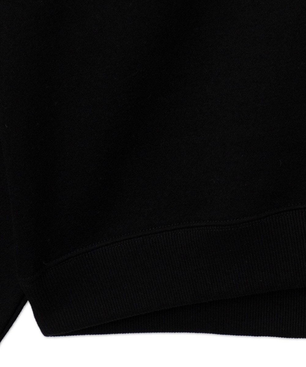 WEGO メタリックロゴプルオーバー 