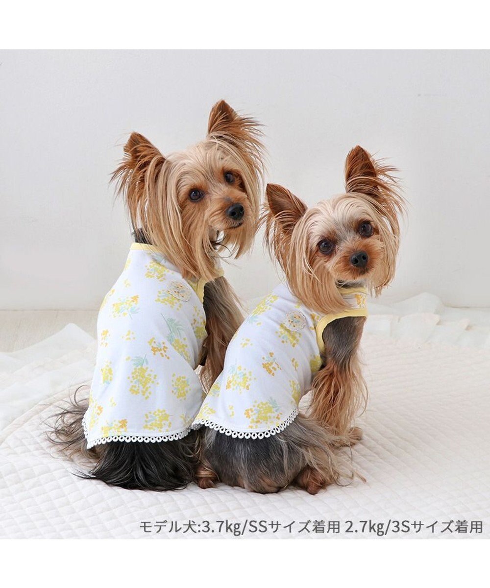 PET PARADISE ペットパラダイス はじめてタンクトップ 《ミモザ柄》 小型犬 
