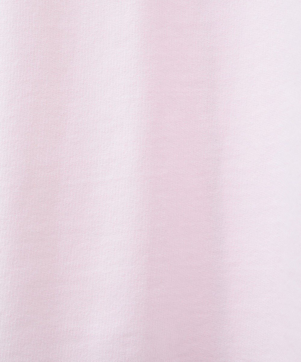 AMERICAN HOLIC ピグメント加工ミニ裏毛半袖プルオーバー 