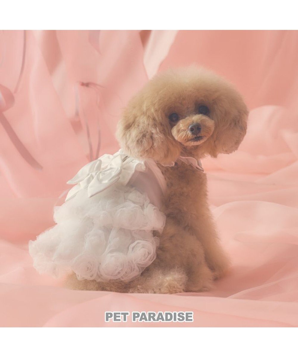 PET PARADISE cherircouture ローズワンピース 《ホワイト》 小型犬 ホワイト