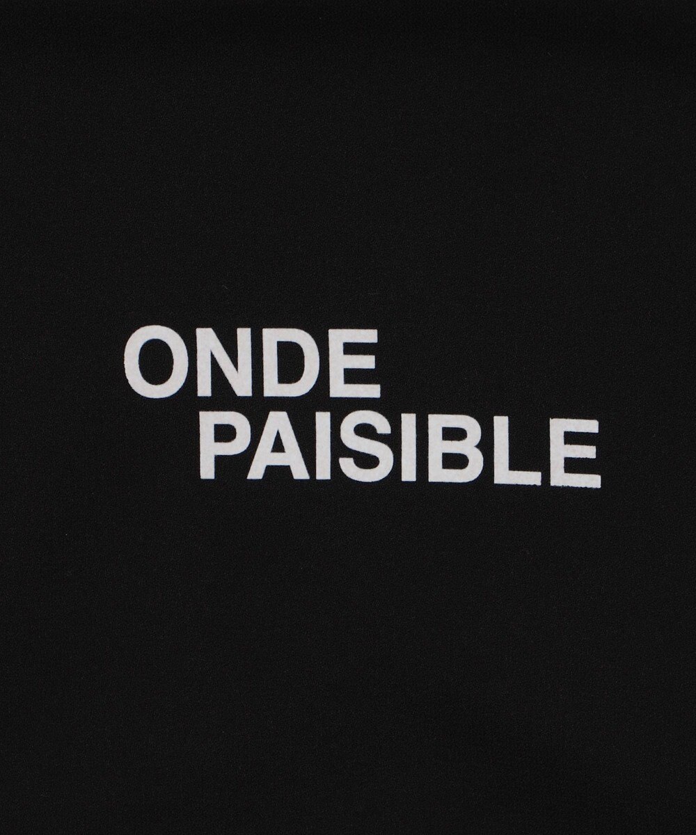 WEGO アムンゼンフォトプリントBIGシャツ（SS） 