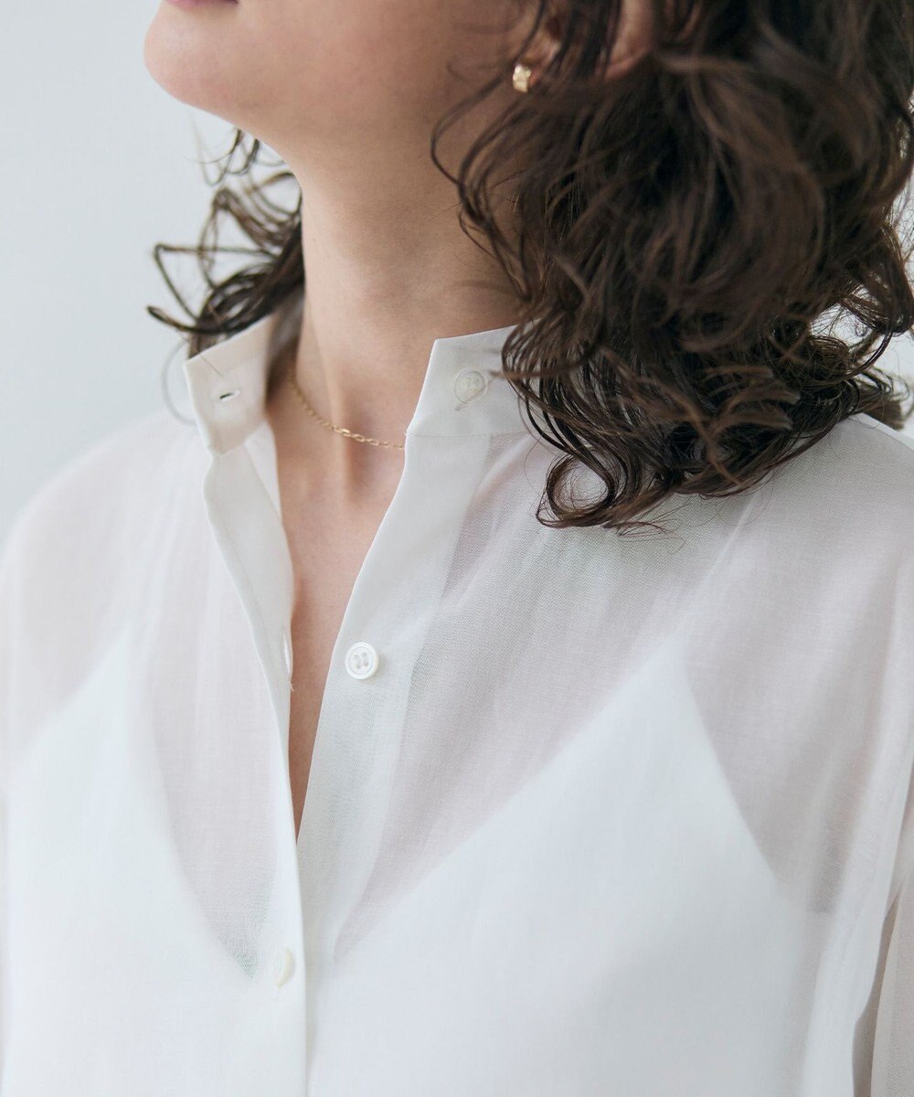 BEIGE， 【洗える】PLUMERIA / コットンシアーバックボウタイブラウス 