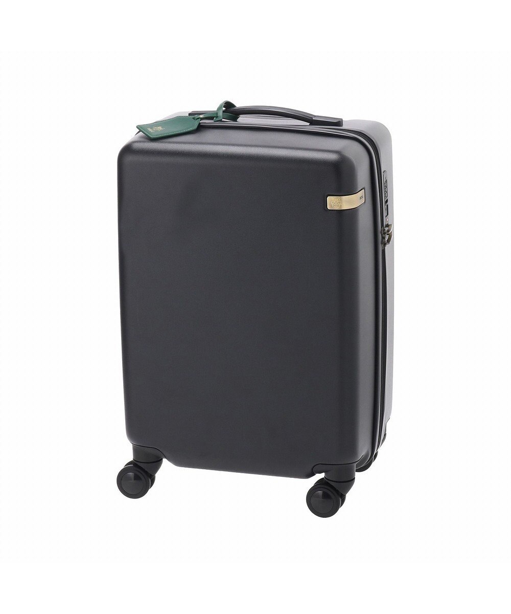 ACE BAGS & LUGGAGE HAyU × ace.  パキラ スーツケース 34L 機内持込 05781 エース 