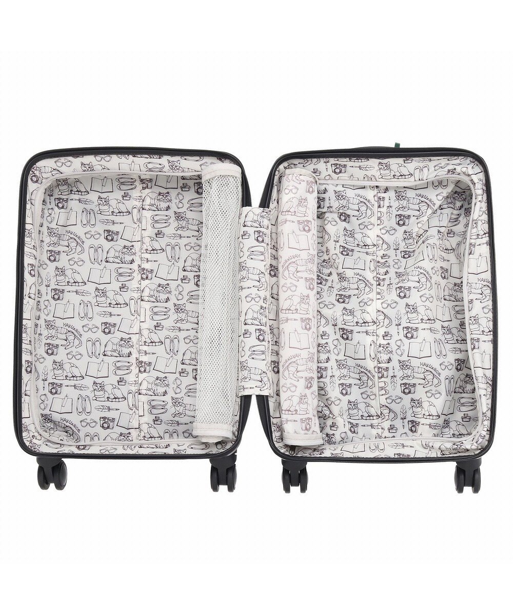 ACE BAGS & LUGGAGE HAyU × ace.  パキラ スーツケース 34L 機内持込 05781 エース 