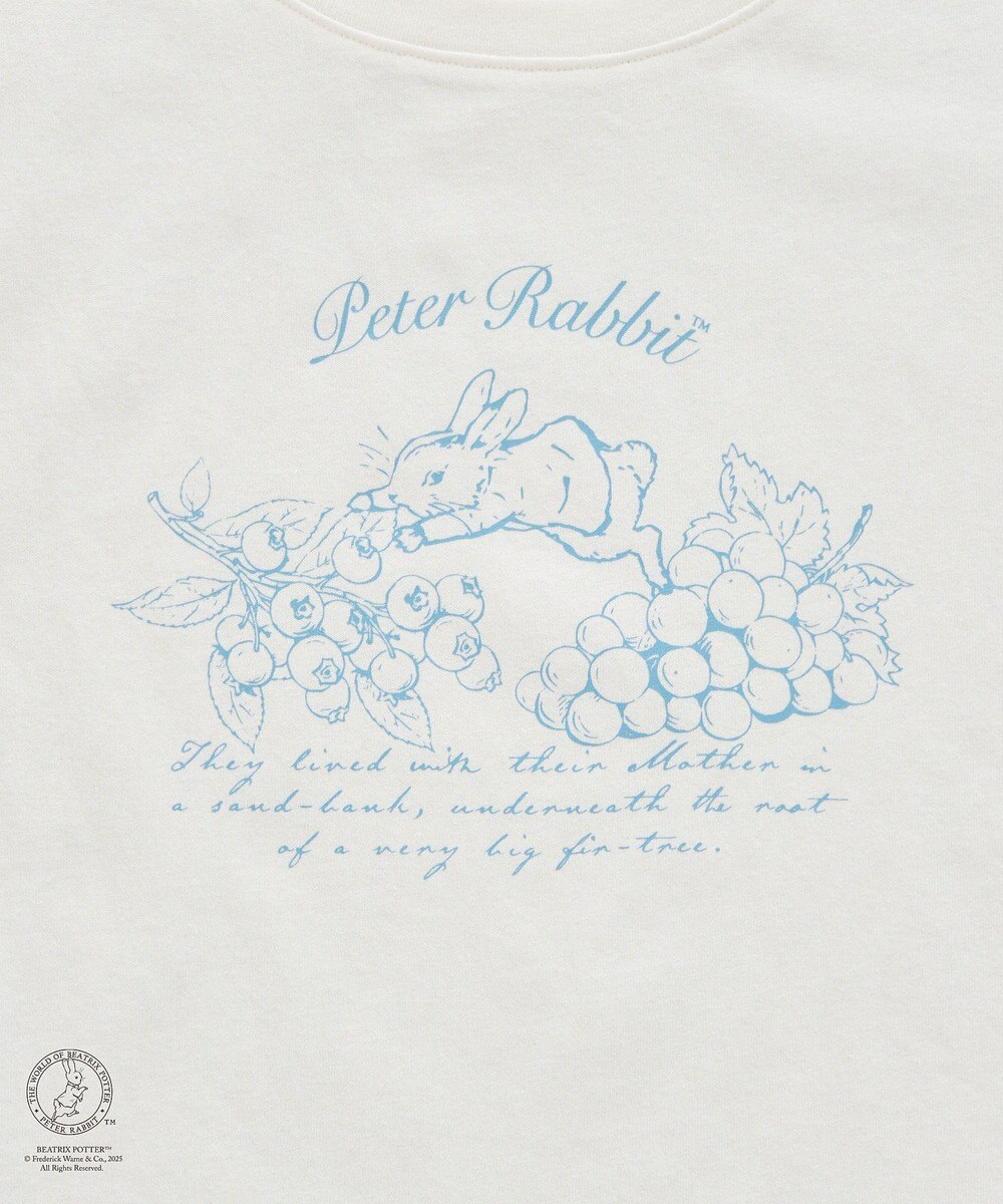 earth music&ecology Ｐｅｔｅｒ　Ｒａｂｂｉｔ?／ｅａｒｔｈ　フルーツＴ 