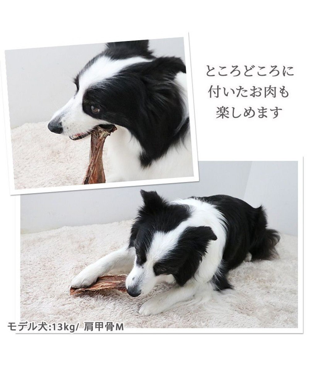 PET PARADISE 鹿 肩甲骨 デンタルおやつ Mサイズ×2本 純国産 