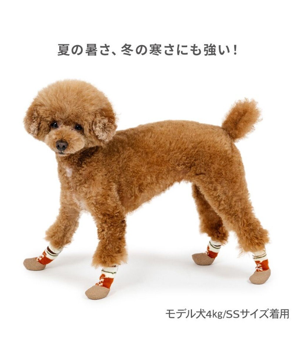 PET PARADISE ペットパラダイス ボーダー フィット靴 ３Ｓ 