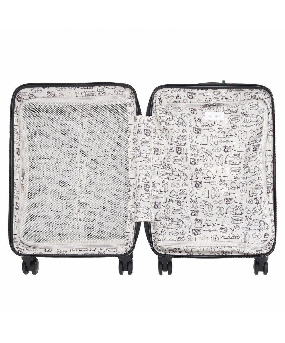 ACE BAGS & LUGGAGE HAyU × ace.  パキラ スーツケース 34L 機内持込 05781 エース 