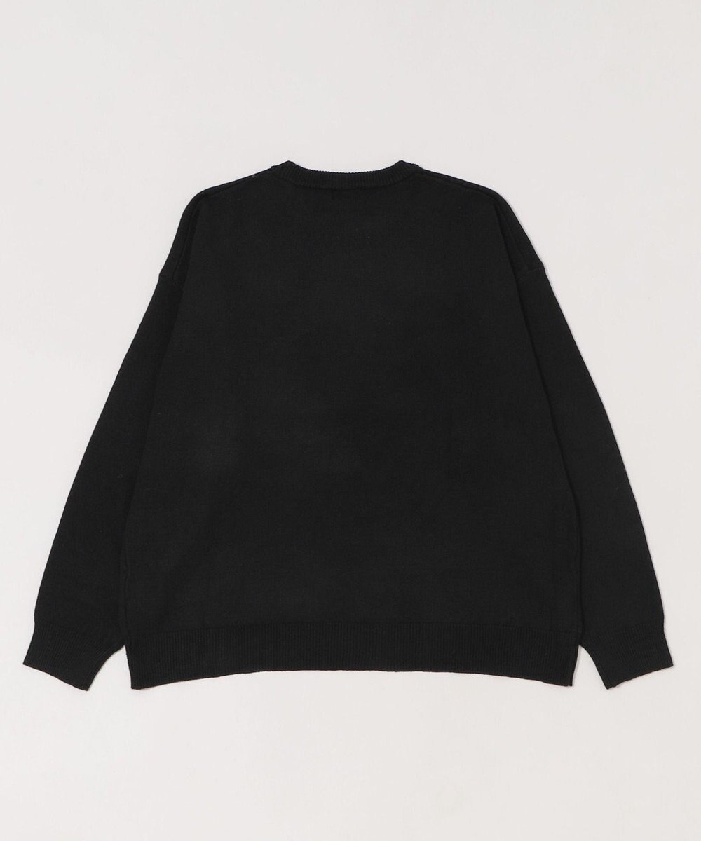 WEGO 【ユニセックス着用ITEM/SMLサイズ展開】アクセ付きワンポイントニットプルオーバー 