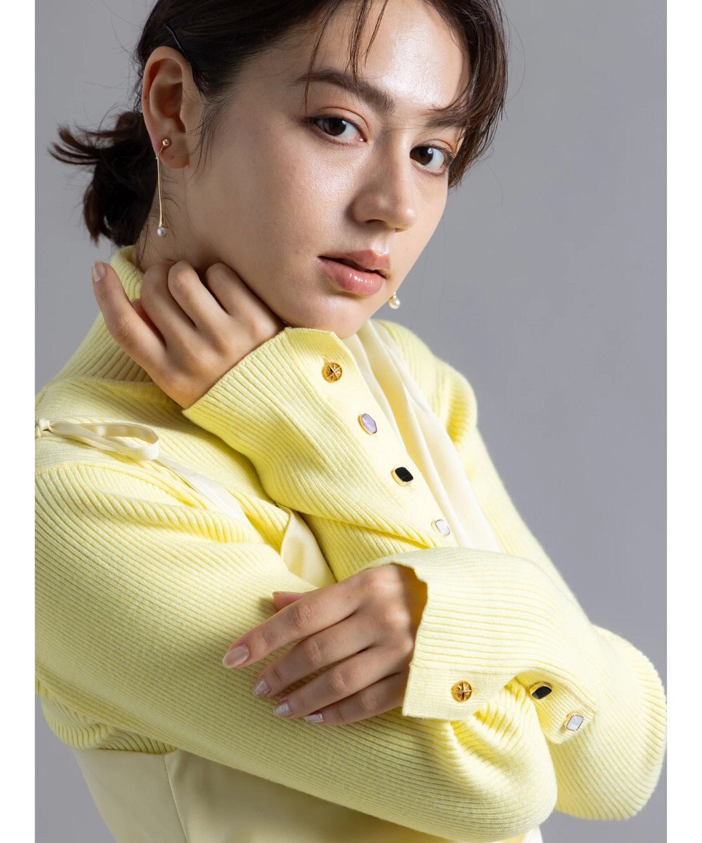 Te chichi 【Atelier Bonheur】ビジュー釦リブタートルプルオーバー《2025winter catalog item》 