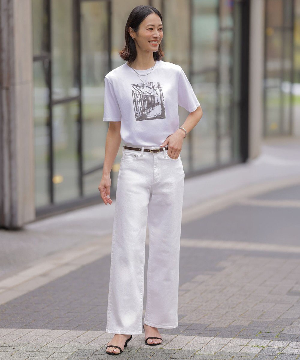 J.PRESS LADIES L プリント Ｔシャツ 
