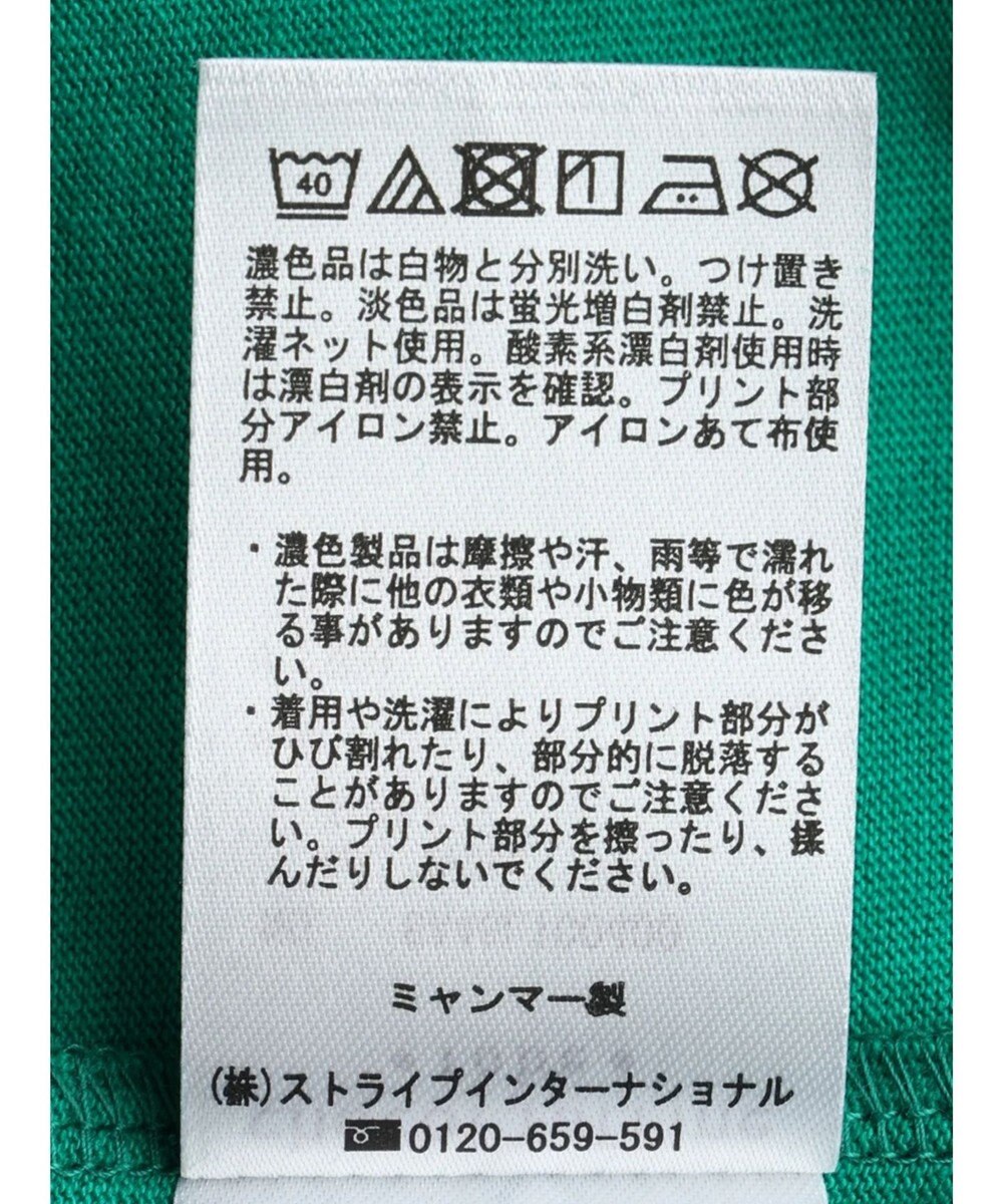 Green Parks キレイ目カレッジボックスＴシャツ 