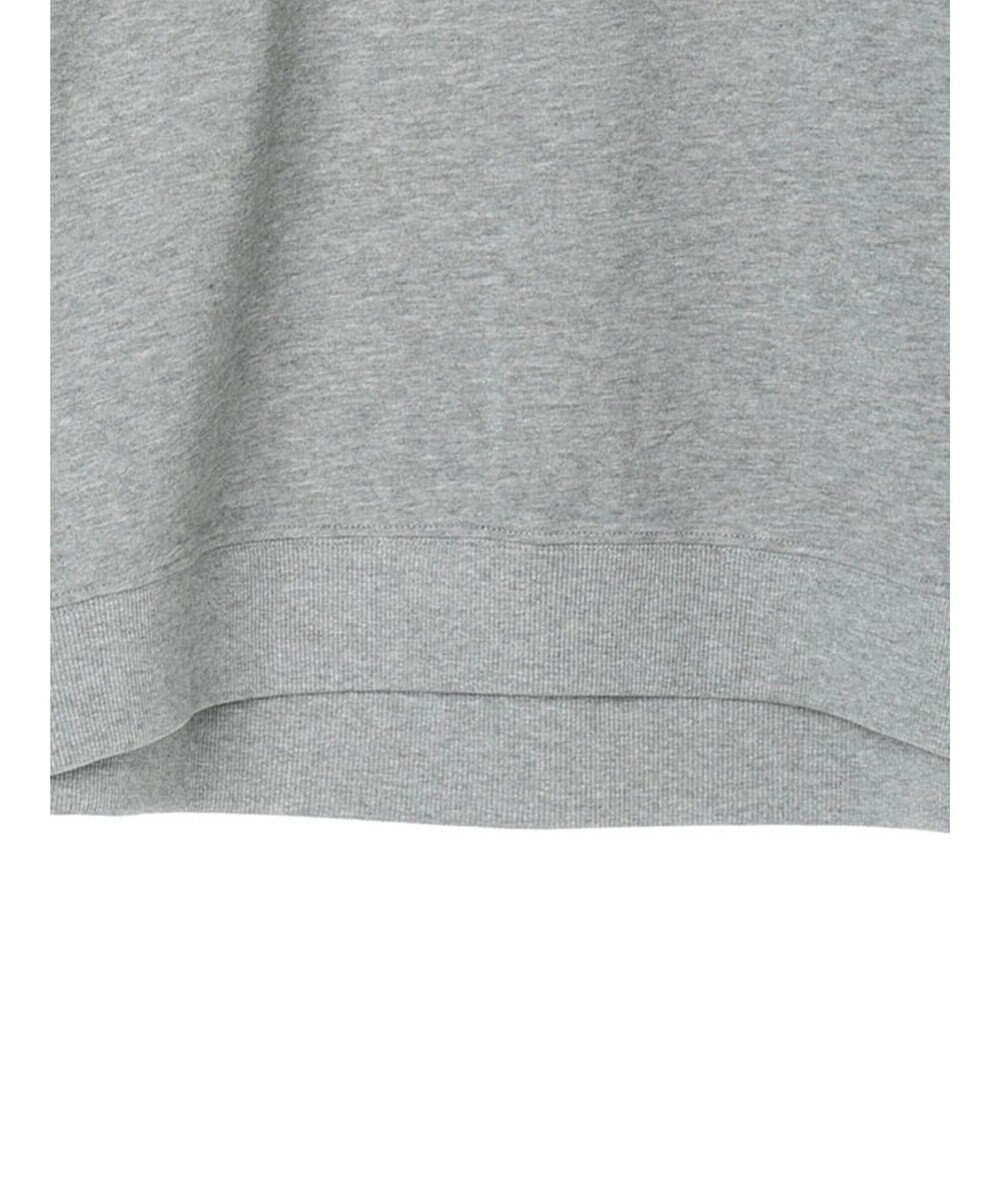 AMERICAN HOLIC ミニ裏毛ロゴスウェット2 